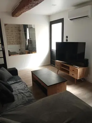 a living room with a couch and a flat screen tv at La Céliane- climatisé avec patio classé 3 étoiles in Castelnaudary