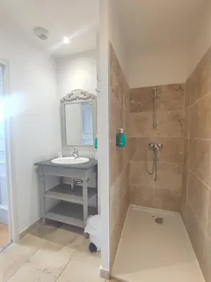 a bathroom with a sink and a shower at La Redorte Appartement au château 8 in La Redorte
