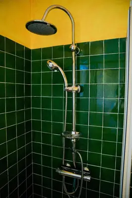 a green tiled shower with a shower head in a bathroom at Les hauts de Palaja, villa with pool and parking in Palaja