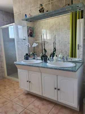 a bathroom with two sinks with plants on the counter at Villa privée au calme avec gand jardin et terrasse in Bout-du-Pont-de-Larn