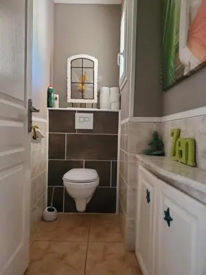 a bathroom with a toilet and a mirror at Villa privée au calme avec gand jardin et terrasse in Bout-du-Pont-de-Larn
