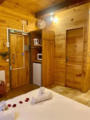 a bedroom with a bed in a room with wooden walls at Studio Julia in Carcassonne