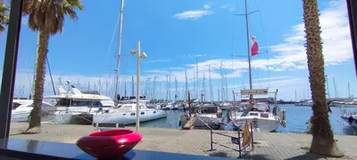 a bunch of boats docked in a marina with palm trees at Apt de charme 4 pers, vue port, location idéale in Gruissan