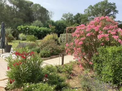 a garden filled with pink flowers and plants at Villa in France with Private Pool & Garden in Prades-sur-Vernazobre