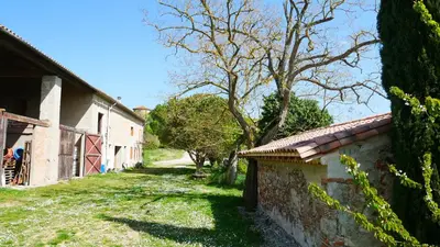 an alley with a house and trees on the side at La Forge - calme absolu avec vue sur les Pyrenées in Villarzel-du-Razès