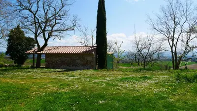 a building in a field with trees and grass at La Forge - calme absolu avec vue sur les Pyrenées in Villarzel-du-Razès