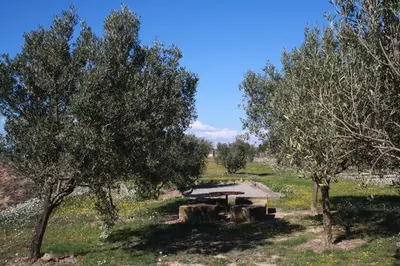 a picnic table in the middle of a field with trees at Domaine Saint Antoine in Rieux-Minervois