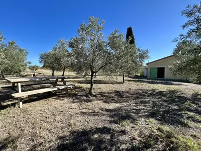 a picnic table and a tree in a field at Domaine Saint Antoine in Rieux-Minervois