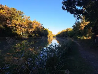 a river with trees on the side of it at Le nid du canal in Pezens