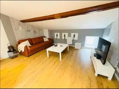a living room with a couch and a table at COSY APPARTEMENT INDEPENDANT I 2 LITS l 1 CHAMBRE I 2 TV I Netflix l Terrasse in Castres