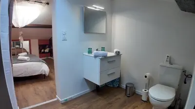 a bathroom with a sink and a toilet in a room at COSY APPARTEMENT INDEPENDANT I 2 LITS l 1 CHAMBRE I 2 TV I Netflix l Terrasse in Castres