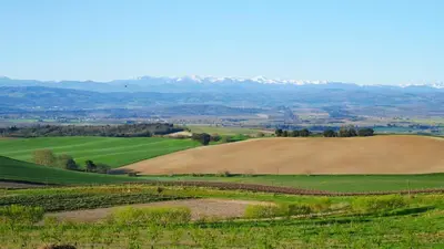 a field of crops with mountains in the background at Maison Chérie Artisanal Farmhouse in Villarzel-du-Razès