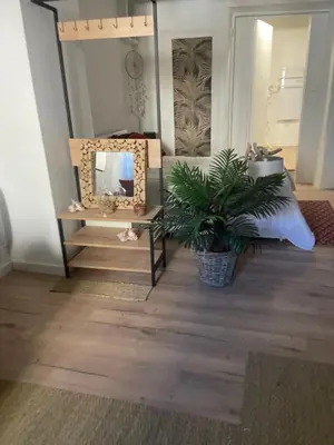a room with a mirror and a potted plant at Ô banc de la vigne in Fabrezan