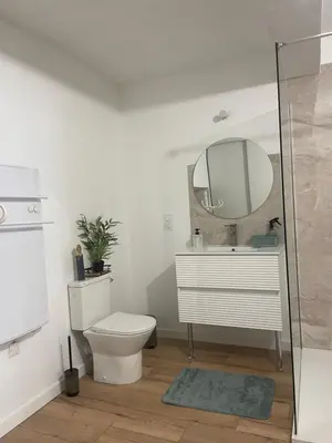 a bathroom with a toilet and a mirror at Ô banc de la vigne in Fabrezan