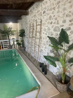 a swimming pool with plants next to a stone wall at Ô banc de la vigne in Fabrezan