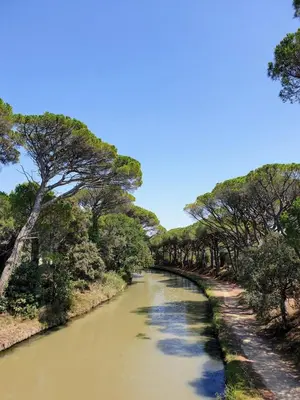 a river with trees on the side of it at Studio bateau au Somail in Saint-Nazaire-dʼAude