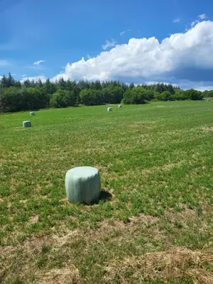 a large grassy field with a large rock in the middle at A la campagne in Saint-Denis