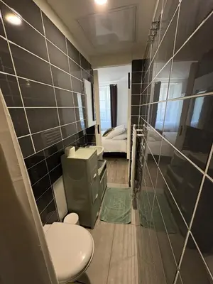 a bathroom with a toilet and a sink and a shower at Studio in Mirepoix