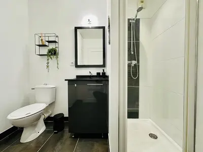 a white bathroom with a toilet and a shower at Duplex T2 de haut-standing in Narbonne