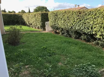 a hedge in a yard with a green lawn at House in a rural village surrounded by vineyards in Leuc