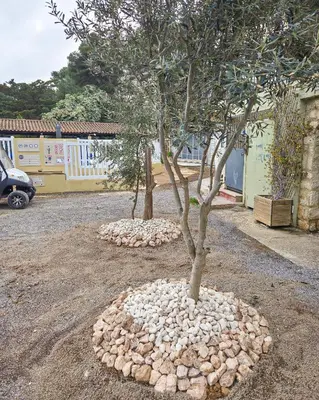 a tree in a pile of rocks next to a building at Cap du Roc in Port-la-Nouvelle