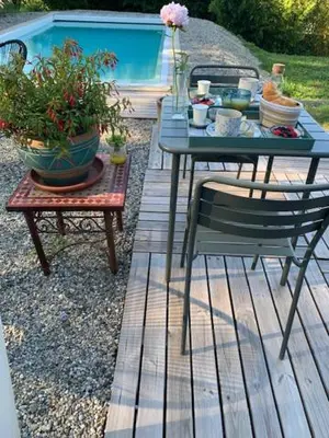 a table and a chair and a table with plants at Le chant des cigales in Villemoustaussou
