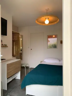 a bedroom with a bed and a chandelier at Le chant des cigales in Villemoustaussou