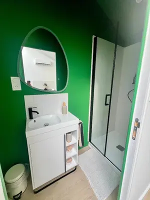 a green bathroom with a sink and a mirror at T2 sous les toits, entre gare et centre-ville, Grands buffets in Narbonne