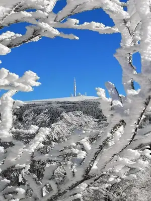 a cross on top of a hill with snow covered trees at Nore & nature in Pradelles-Cabardès