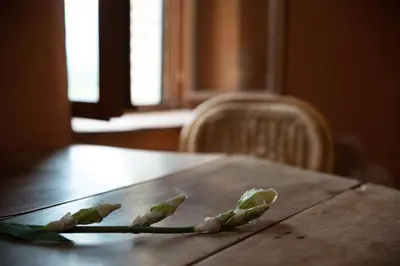 a group of flowers sitting on top of a table at Pure Canigou House An Authentic and Charming Town house with 3 bedrooms in Montalba-le-Château