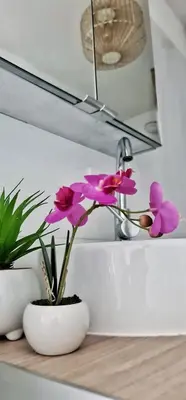 a white sink with pink flowers in a bathroom at N3-Barbacane-Pieds Cité-Clim mobile in Carcassonne