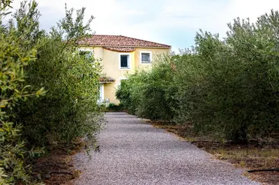 a path leading to a house between trees at Domaine Des Lucques B&B with Private Infinity Pool & Grand Olive Grove in Bize-Minervois