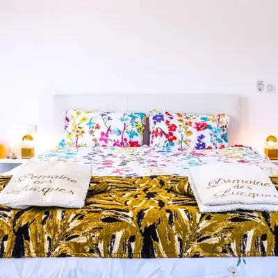 Domaine Des Lucques B&B with Private Infinity Pool & Grand Olive Grove