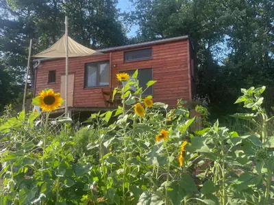 a wooden cabin in a field of sunflowers at Tiny House en bois in Cubières-sur-Cinoble