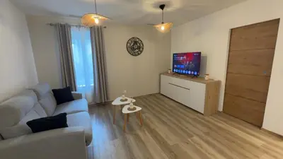 a living room with a couch and a tv at Le petit narbonnais in Narbonne