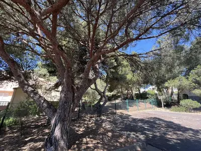 a large tree in front of a building at Appartement La Pinède avec Terrasse, clim et parking - GN320-124 in Gruissan
