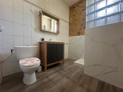 a bathroom with a toilet and a sink and a mirror at Centre ville, grand T3 avec balcon in Narbonne