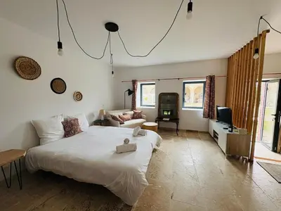 a bedroom with a bed and a tv and a couch at La Métairie du Château Paul in Aussillon
