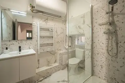 a bathroom with a shower and a toilet and a sink at Cocon des halles - Climatisation - Terrasse in Narbonne