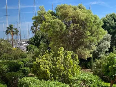 a group of trees and bushes in a field at Superbe Appartement T2 climatisé in Gruissan