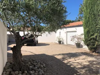 a car parked next to a tree in a driveway at Les Oliviers in Villemoustaussou