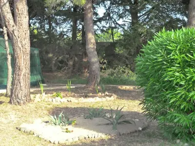 a garden with trees and plants in a park at The Studio at Gites 474 in Sallèles-dʼAude