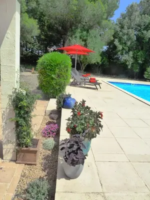 a patio with some plants and a swimming pool at The Studio at Gites 474 in Sallèles-dʼAude