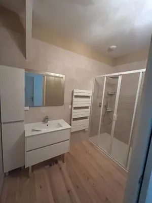 a bathroom with a sink and a shower at Maison de ville centre de Narbonne Amardeil in Narbonne