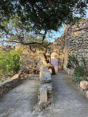 a tree growing out of a stone wall at Chateau Fitou Presbytery in Fitou