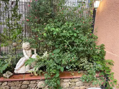 a statue of a woman sitting in a garden at Appartement avec jardin sous les couverts in Mirepoix
