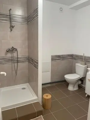 a bathroom with a tub and a toilet and a shower at Appartement avec jardin sous les couverts in Mirepoix