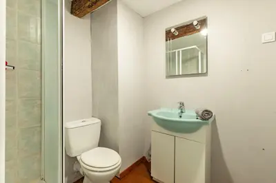 a bathroom with a toilet and a sink at La Campagnarde - Avec jardin clos in Campagne-sur-Aude