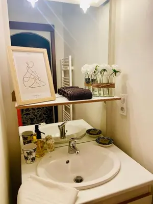 a bathroom with a sink and a mirror at Les gites du tilleul in Villefranche-de-Lauragais