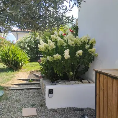 a plant in a box sitting next to a house at Le Logis de la Voie Verte in Saint-Amadou